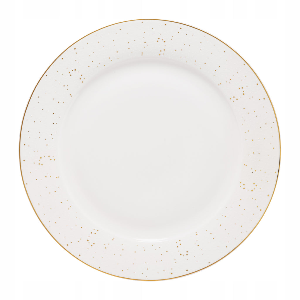 Talerz obiadowy płytki Ambition