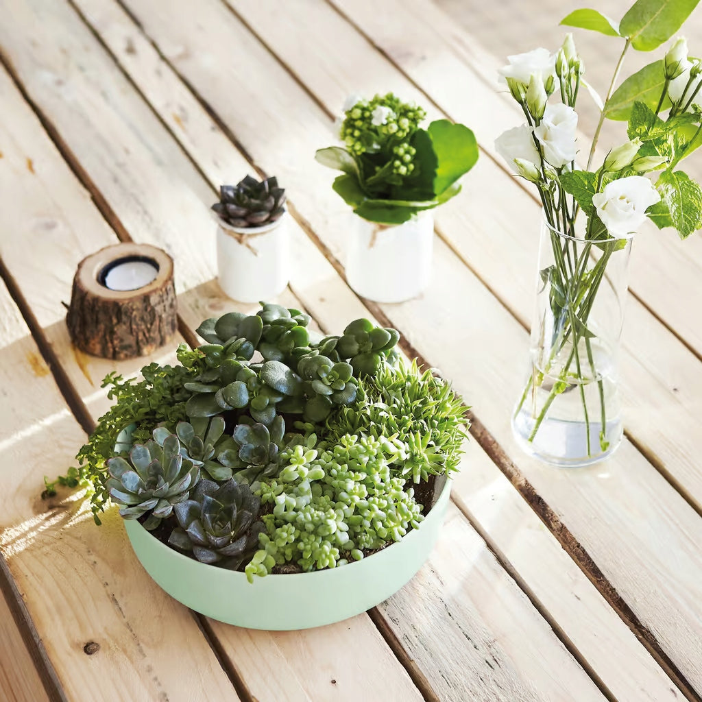 Salaterka Paradise Green Diwali Luminarc 22 cm