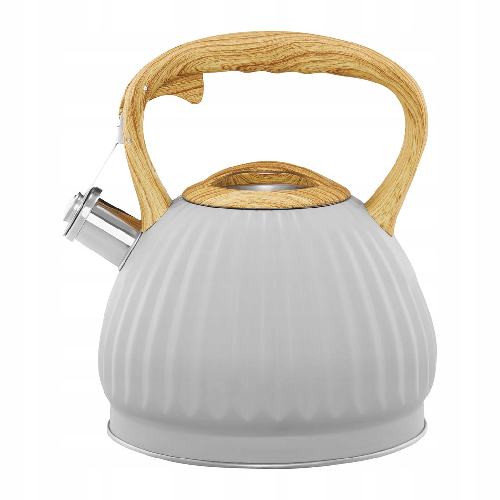 Czajnik tradycyjny stalowy Ambition 2,5 l szary